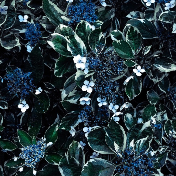 Hi, hi! - Picture 1 of 1